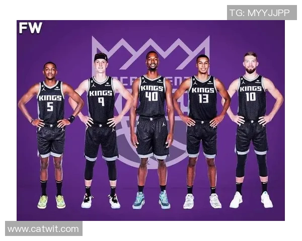 国王队新援实力不俗，将在新赛季中突围