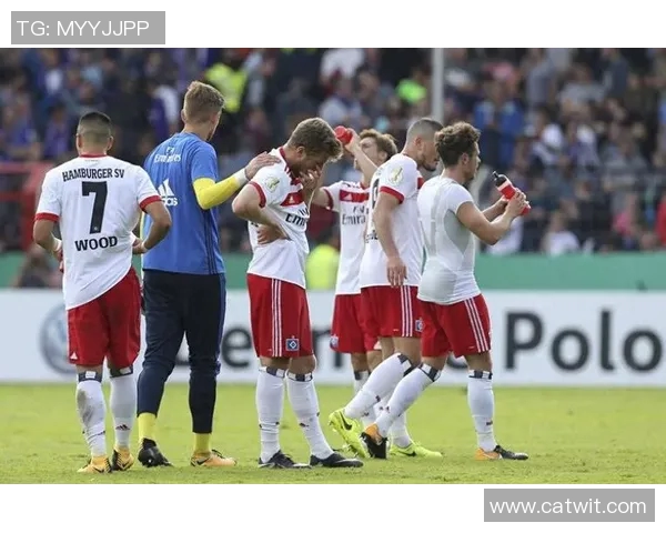 汉诺威96客场失利，痛失对霍芬海姆的胜机