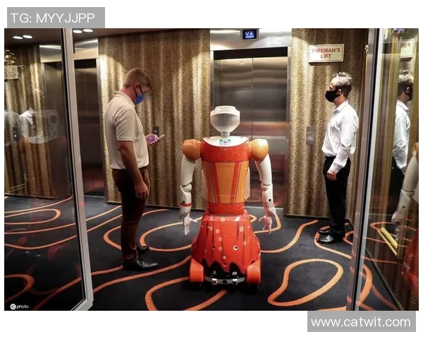 劳塔罗智能机器人登陆南非市场，助力缓解劳动力短缺