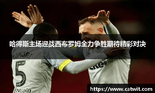 哈得斯主场迎战西布罗姆全力争胜期待精彩对决
